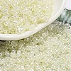 Ceylon Glass Seed Beads SEED-K009-02B-38-1