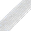 Frosted Transparent Glass Beads Strands FGLA-M002-01I-2