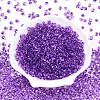 3/0 Baking Paint Glass Fringe Seed Beads SEED-A034-04F-1