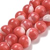 Dyed Natural Trochus Shell Beads Strands BSHE-G034-25C-1