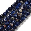Natural South Africa Sodalite Beads Strands G-S259-35-6mm-2