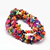 Natural Chip Dyed Shell Bead Strands G-L454-10-2