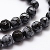 Natural Snowflake Obsidian Beads Strands G-G736-06-4mm-3