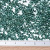 MIYUKI Round Rocailles Beads SEED-X0054-RR0338-3