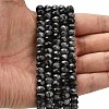 Natural Snowflake Obsidian Beads Strands G-Z111-A21-2