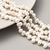 Natural Cultured Freshwater Pearl Beads Strands PEAR-A006-23B-1