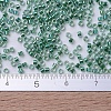 MIYUKI Delica Beads SEED-X0054-DB0060-4