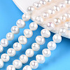Natural Cultured Freshwater Pearl Beads Strands PEAR-N013-08F-1
