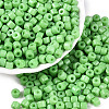 Opaque Baking Paint Glass Seed Beads SEED-T008-02Q-1