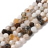 Natural Bamboo Leaf Agate Beads Strands G-Z119-A27-01-3