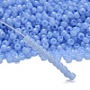 TOHO 6/0 Round Beads X-SEED-TR06-1146-2