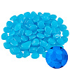 1 Set Resin Luminous Glow in the Dark Pebbles Stone DJEW-CN0001-40B-6