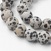 Natural Dalmatian Jasper Bead Strands G-G735-68F-12mm-3