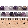 Natural Fluorite Beads Strands G-P530-B04-02A-4