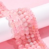 Natural Rose Quartz Beads Strands G-F591-04-6