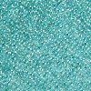 11/0 FGB Grade A Transparent Glass Seed Beads X-SEED-N001-E-318-2