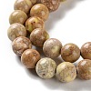 Dyed Natural Regalite/Imperial Jasper/Sea Sediment Jasper Beads Strands G-B124-C01-08-4