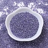 MIYUKI Delica Beads SEED-X0054-DB0250-2