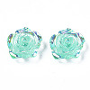 Transparent Resin Cabochons CRES-N030-001B-03-2