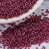 MIYUKI Round Rocailles Beads X-SEED-G009-RR0645-1