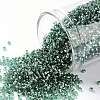 TOHO Round Seed Beads X-SEED-TR15-2202-1