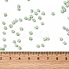8/0 Opaque Colours Seep Glass Seed Beads SEED-F003-04B-06-4
