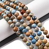 Dyed Natural Regalite/Imperial Jasper/Sea Sediment Jasper Beads Strands G-B124-C02-15-2