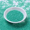 MIYUKI Round Rocailles Beads SEED-G007-RR0572-2
