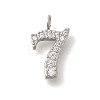 Ion Plating(IP) 304 Stainless Steel Micro Pave Cubic Zirconia Pendants STAS-H228-01P-07-1