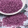 MIYUKI Delica Beads SEED-JP0008-DB2181-1