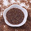 MIYUKI Delica Beads Small X-SEED-J020-DBS0170-2