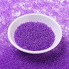MIYUKI Round Rocailles Beads SEED-G007-RR1313-2