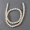 Natural Cultured Freshwater Pearl Beads Strands X-PEAR-S001-5-6mm-3-3