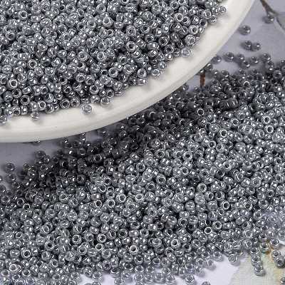 MIYUKI Round Rocailles Beads X-SEED-G009-RR0443-1