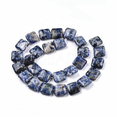 Natural Blue Spot Jasper Beads Strands G-N326-140G-1