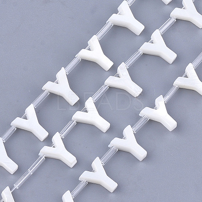 Natural Freshwater Shell Beads SHEL-T012-59Y-1