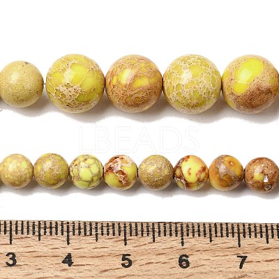 Natural Imperial Jasper Graduated Beads Strands G-A323-C03-01D-1