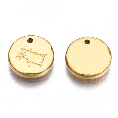 316 Surgical Stainless Steel Charms STAS-S116-418E-G-1