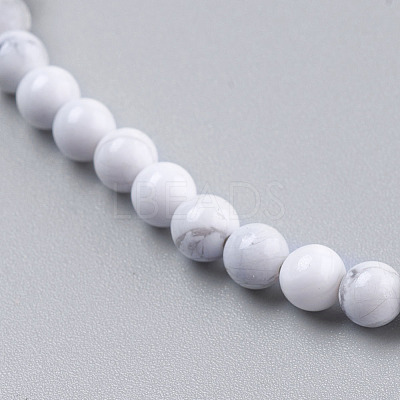 Natural Howlite Beads Strands TURQ-G091-10mm-1