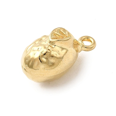 304 Stainless Steel Pendants STAS-B103-01D-G-1