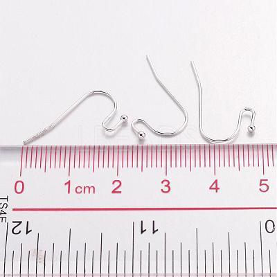 Silver Color Plated Brass Hook Ear Wire X-J0JQN-S-1
