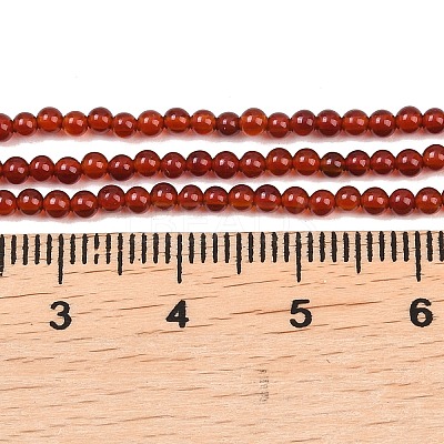 Natural Carnelian Bead Strands G-K146-03-2mm-1