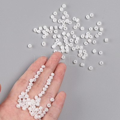 6/0 Glass Seed Beads SEED-US0003-4mm-141-1