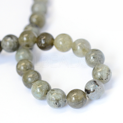 Natural Labradorite Round Bead Strands X-G-E334-6mm-19-1