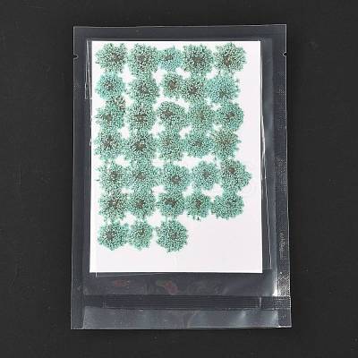 Pressed Dried Flowers DIY-K032-58H-1