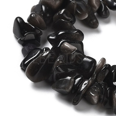 Natural Silver Sheen Obsidian Chip Beads Strands G-M205-07A-1