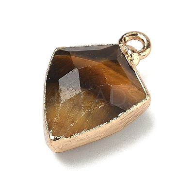 Natural Tiger Eye Pendants G-K422-01G-08-1