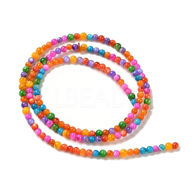 Ice Cream Color Dyed Natural Freshwater Shell Beads Strands X1-SHEL-G018-01D-1