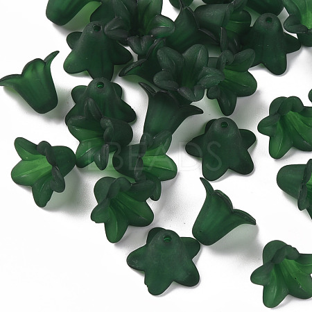 Transparent Acrylic Beads PLF018-09-1
