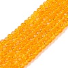 Glass Beads Strands EGLA-T021-01K-1